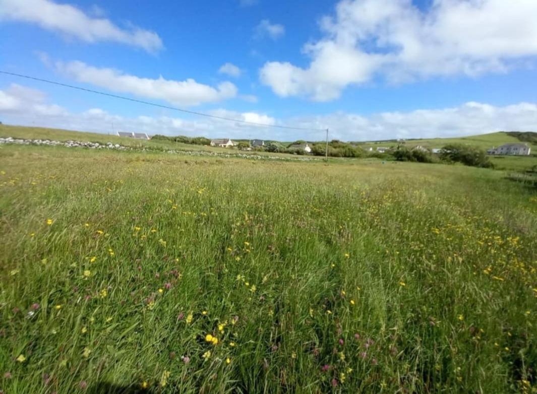 Wild Meadow Huts Doolin Exterior foto