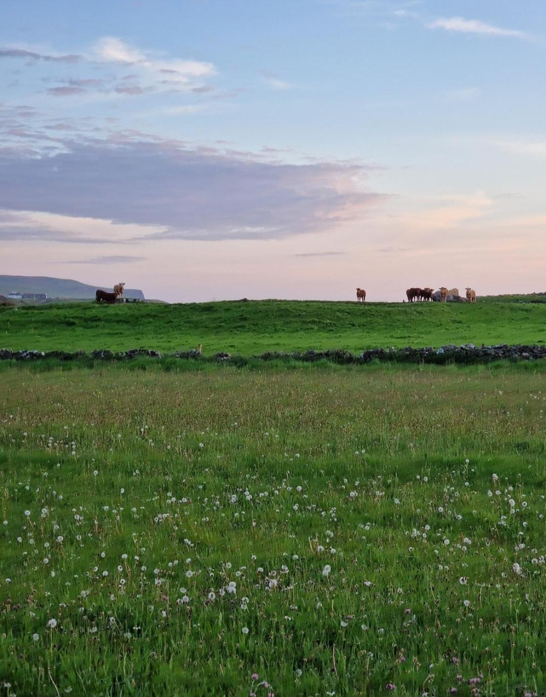 Wild Meadow Huts Doolin Exterior foto