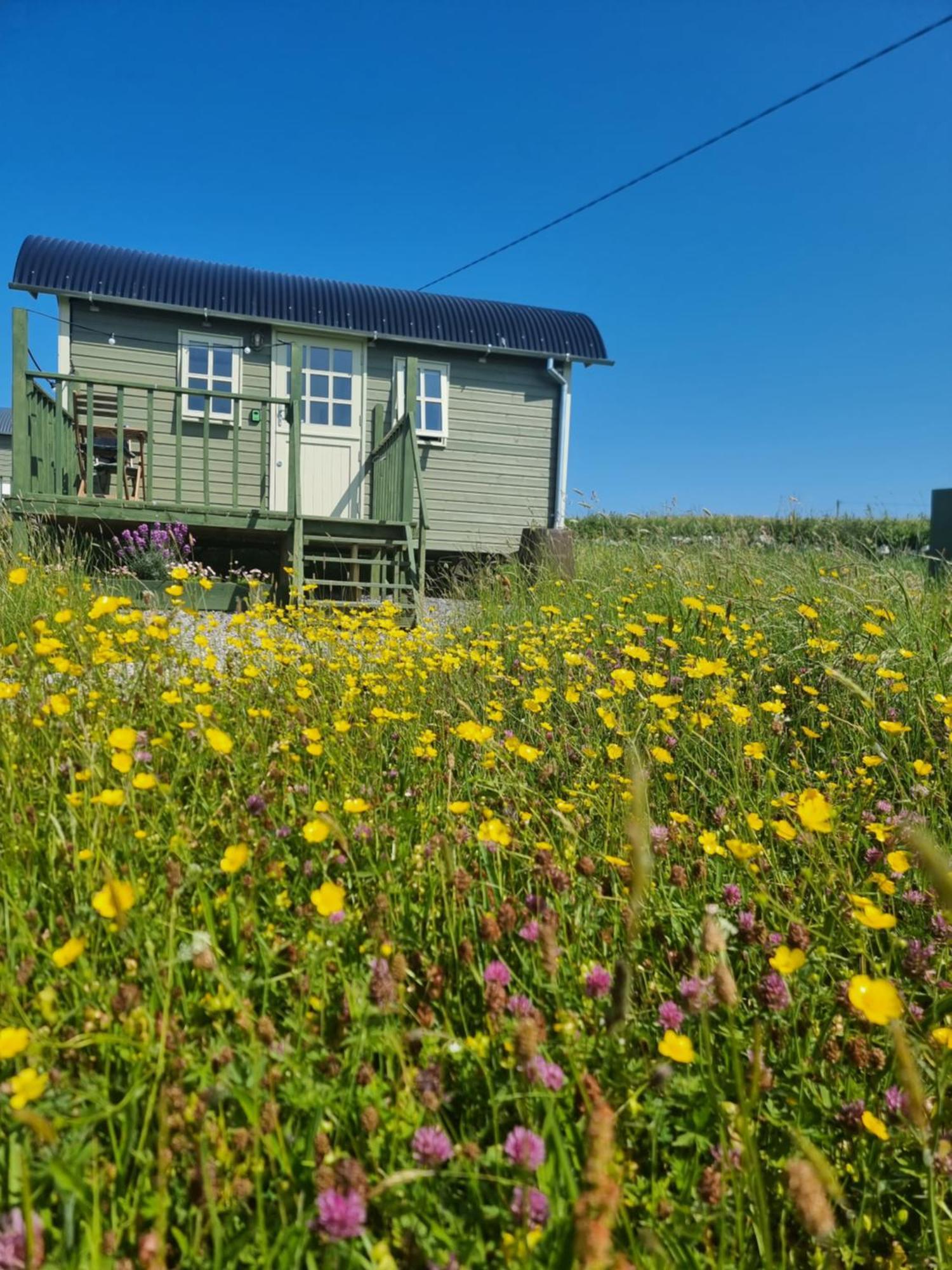 Wild Meadow Huts Doolin Exterior foto