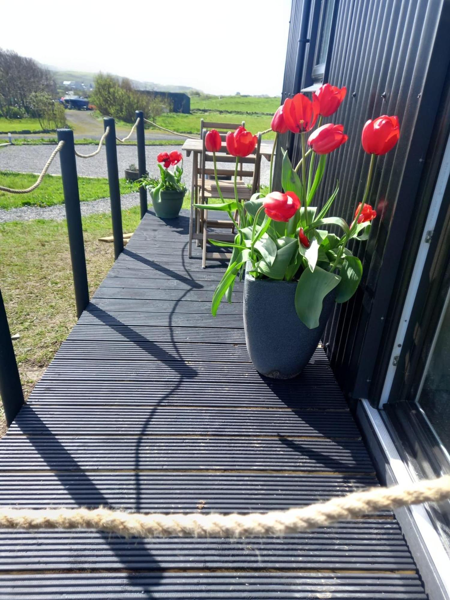 Wild Meadow Huts Doolin Exterior foto