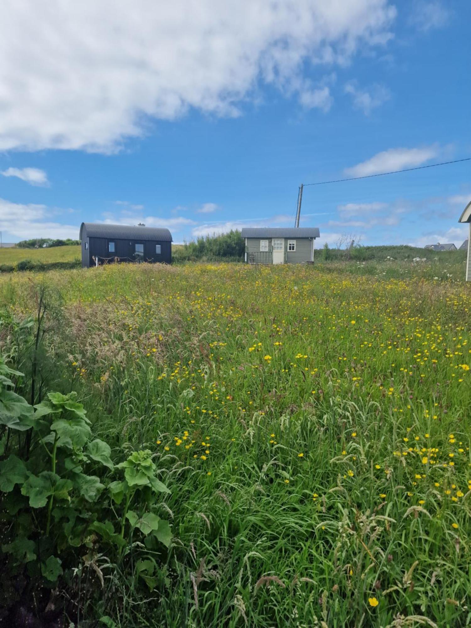 Wild Meadow Huts Doolin Exterior foto