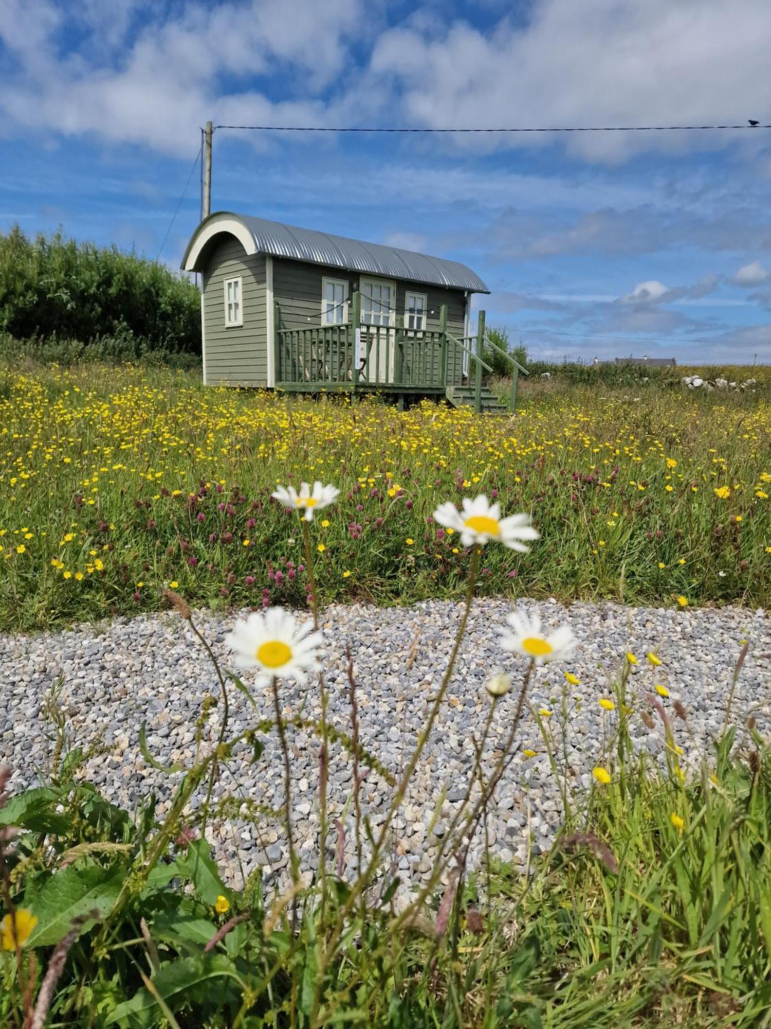 Wild Meadow Huts Doolin Exterior foto