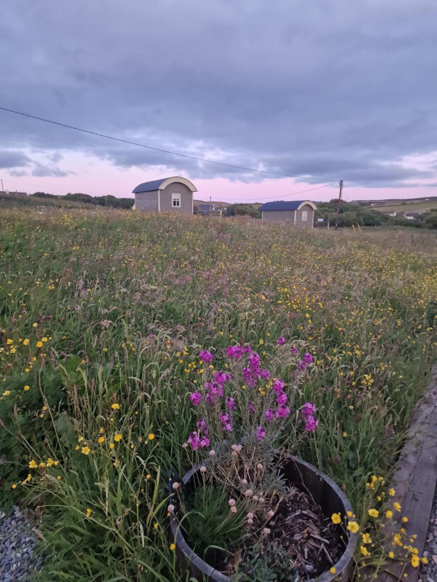 Wild Meadow Huts Doolin Exterior foto