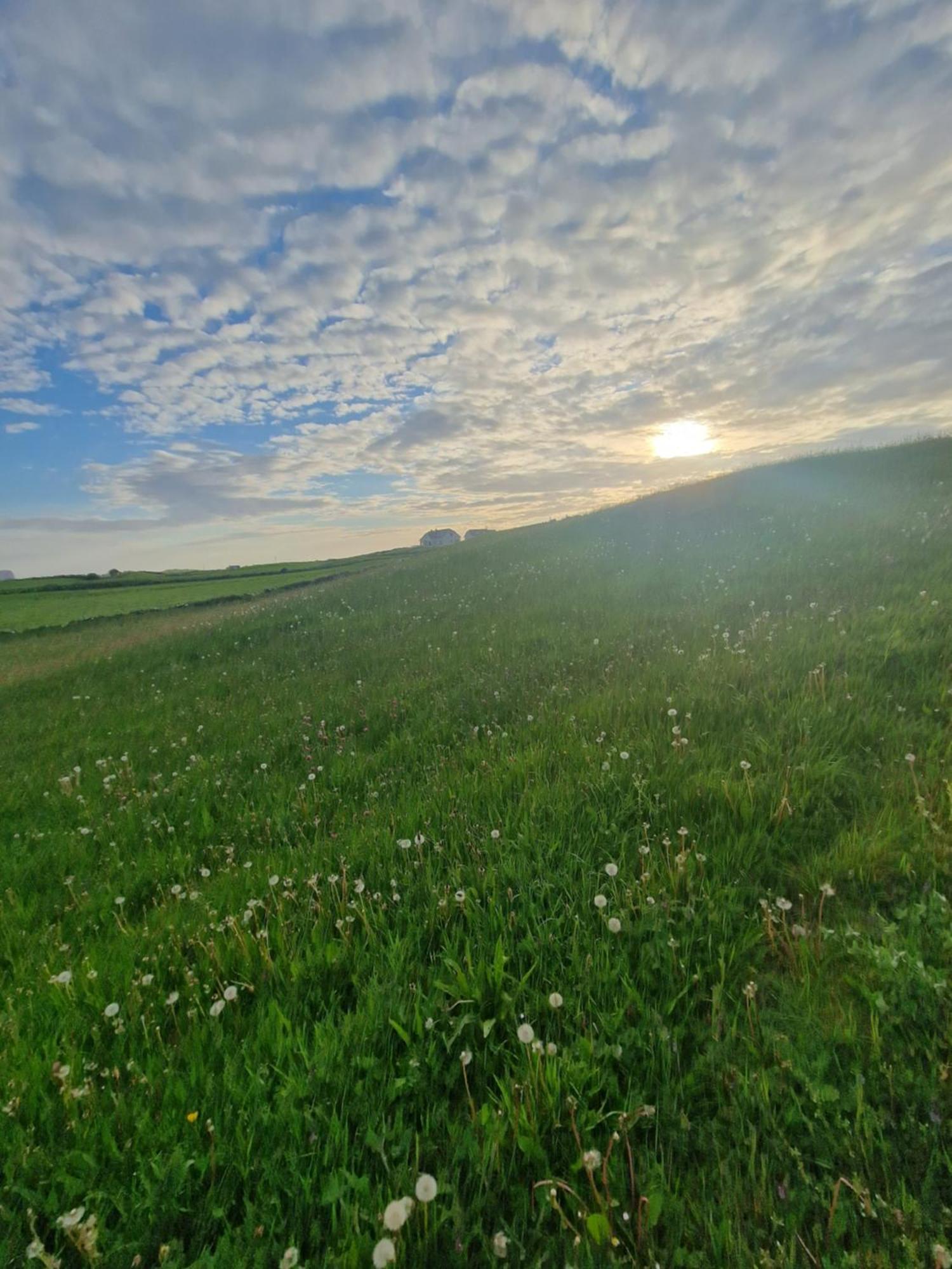 Wild Meadow Huts Doolin Exterior foto