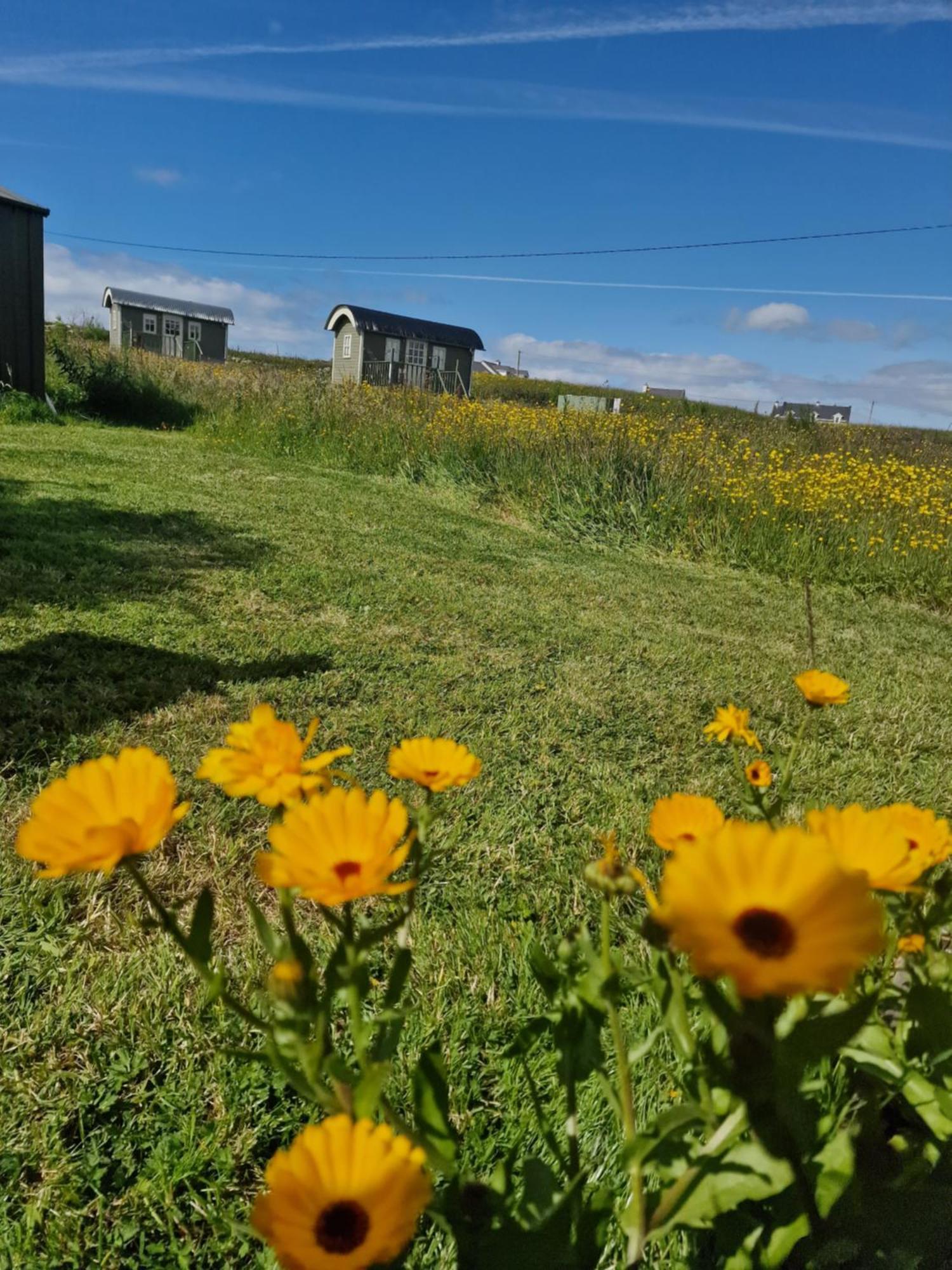 Wild Meadow Huts Doolin Exterior foto