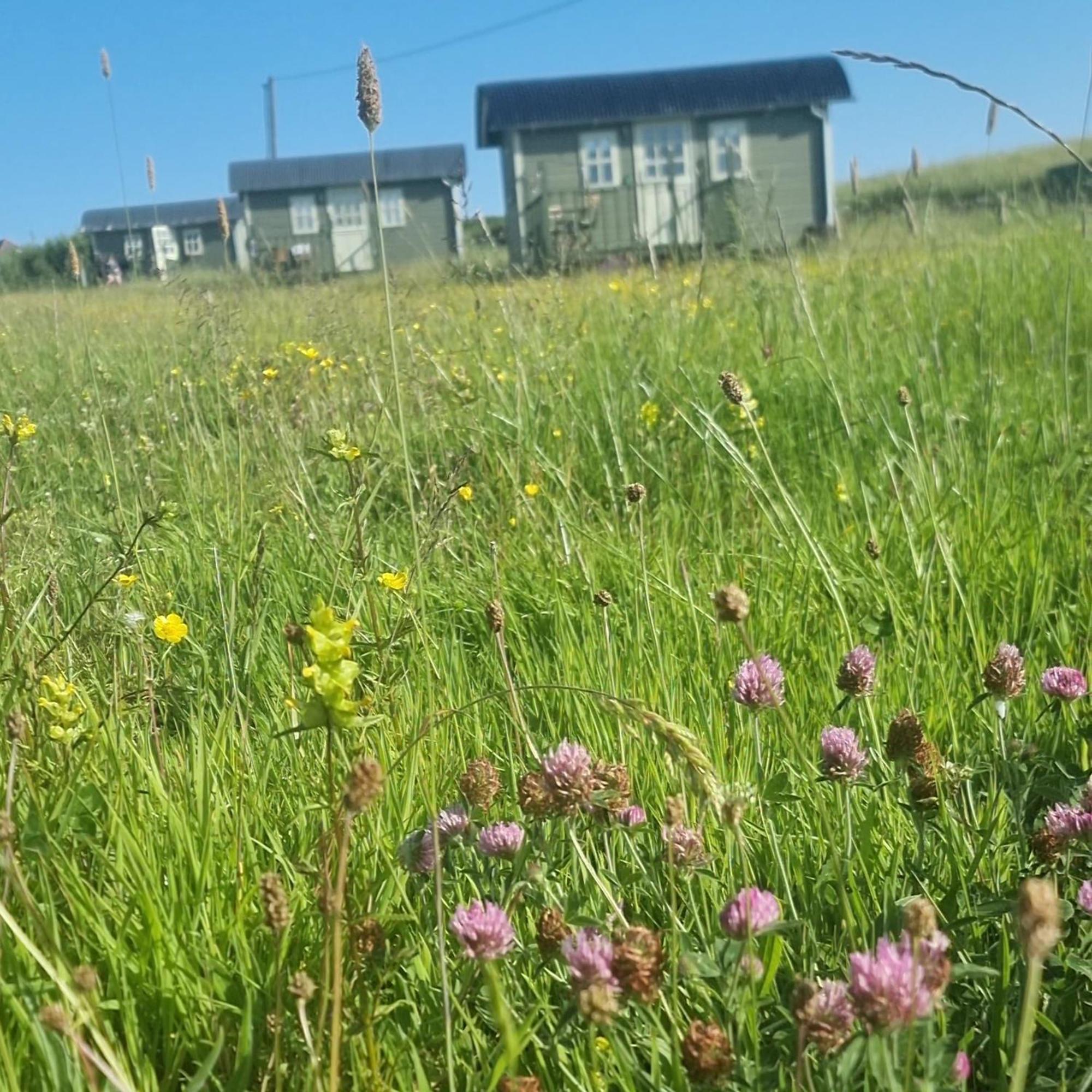 Wild Meadow Huts Doolin Exterior foto